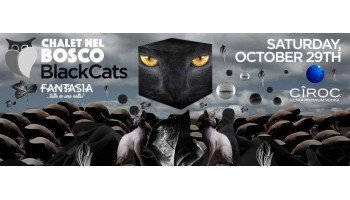 Chalet nel Bosco Roma 29 Ottobre 2016