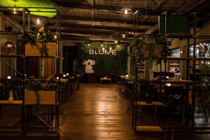 Blume