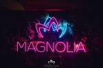 Magnolia Roma