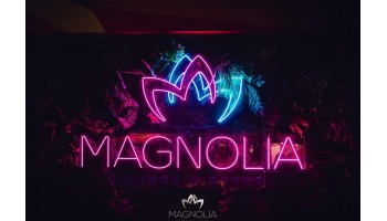 Magnolia Roma 5 Luglio 2024
