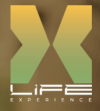 Life Experience