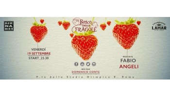 Il Bosco delle Fragole Roma 20 Settembre 2014