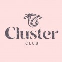 Cluster
